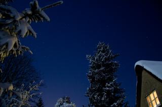 A night sky, with snow-covered evergreen trees and roof gable visible on the edges