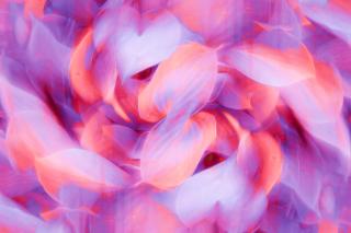 A blurred composition of pink and lavendar leaf patterns