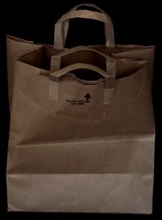 A brown paper grocery bag, standing upright and open