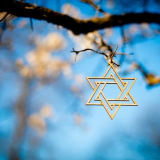 Gold-colored Star of David hangs from a tree branch with blue sky in the backgroud