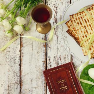 From above, an artful arrangement of tulips, a Hebrew prayer book, matzoh, egg, and cup of wine.