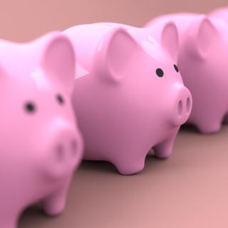Row of pink piggy banks