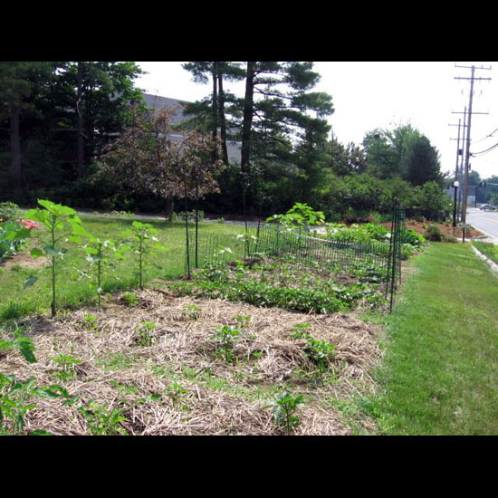 A garden on the lawn of the Unitarian Universalist Church of Concord, NH. Photo by Laurel Horne.
