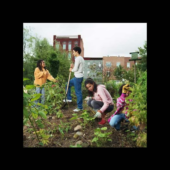 Garden images from organization More Gardens!. 