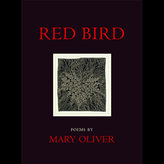 Cover: Red Bird. Image courtesy Beacon Press.