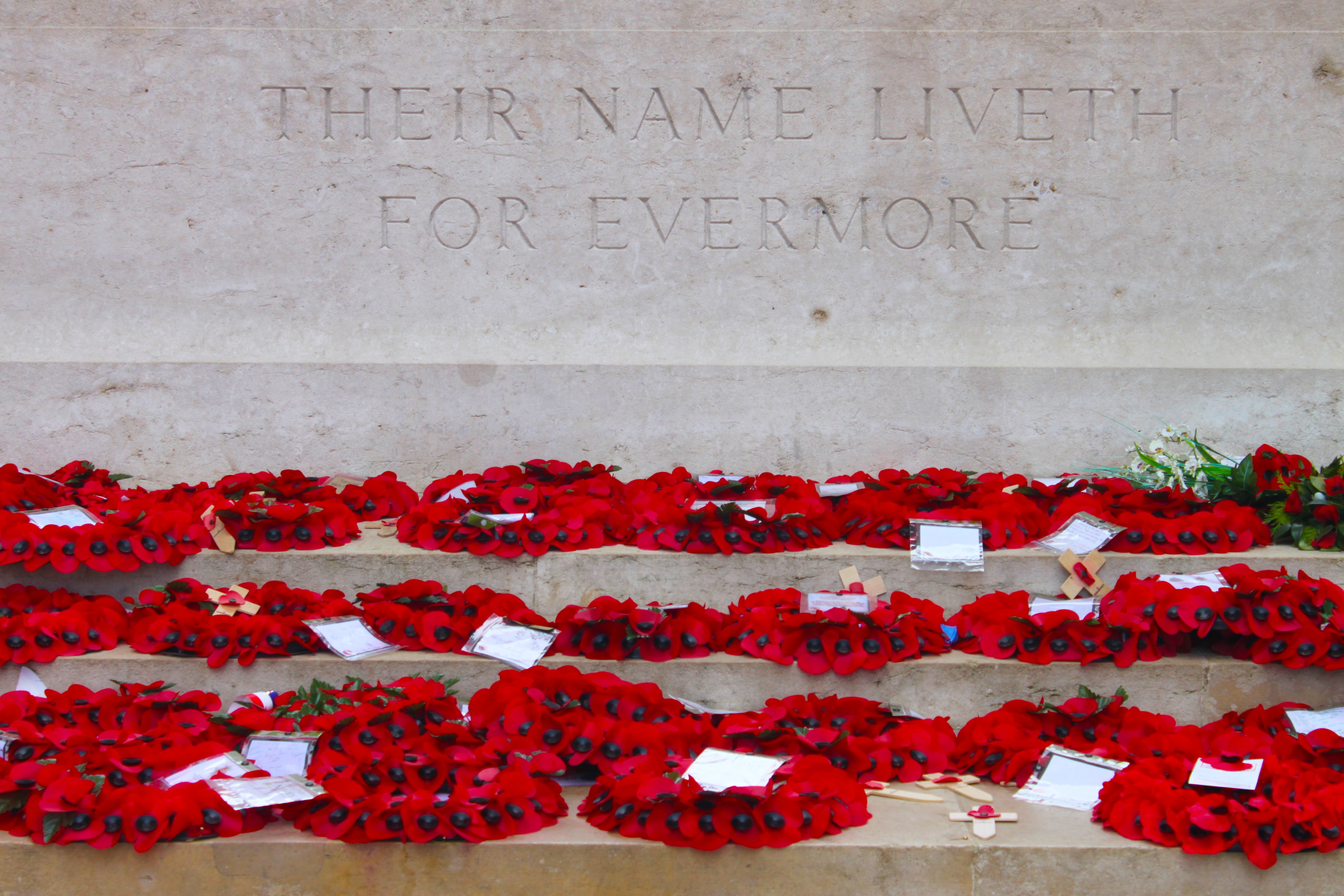 Wreaths of red poppies lying at the World War One British memorial to the missing of the Somme (in Thiepval, France).