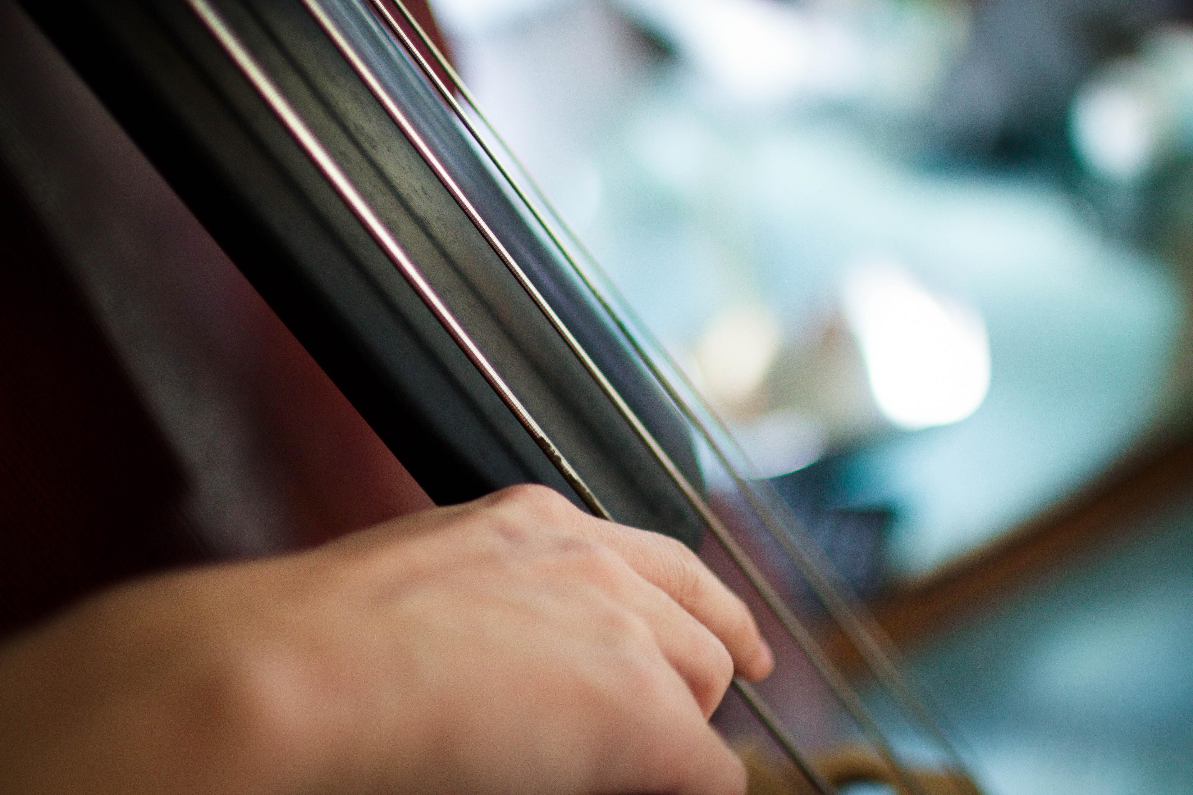 A close up of the strings of a stand-up bass, being plucked by a musician's hand
