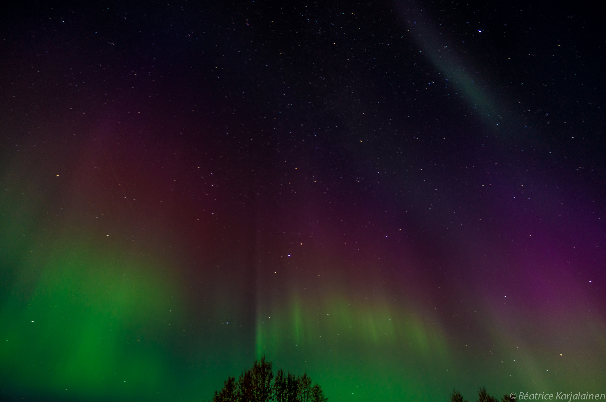 In the night sky, a rainbow aurora -- in vivid shades of green, gold, and violet -- fill the space above a silhouette of treeline.