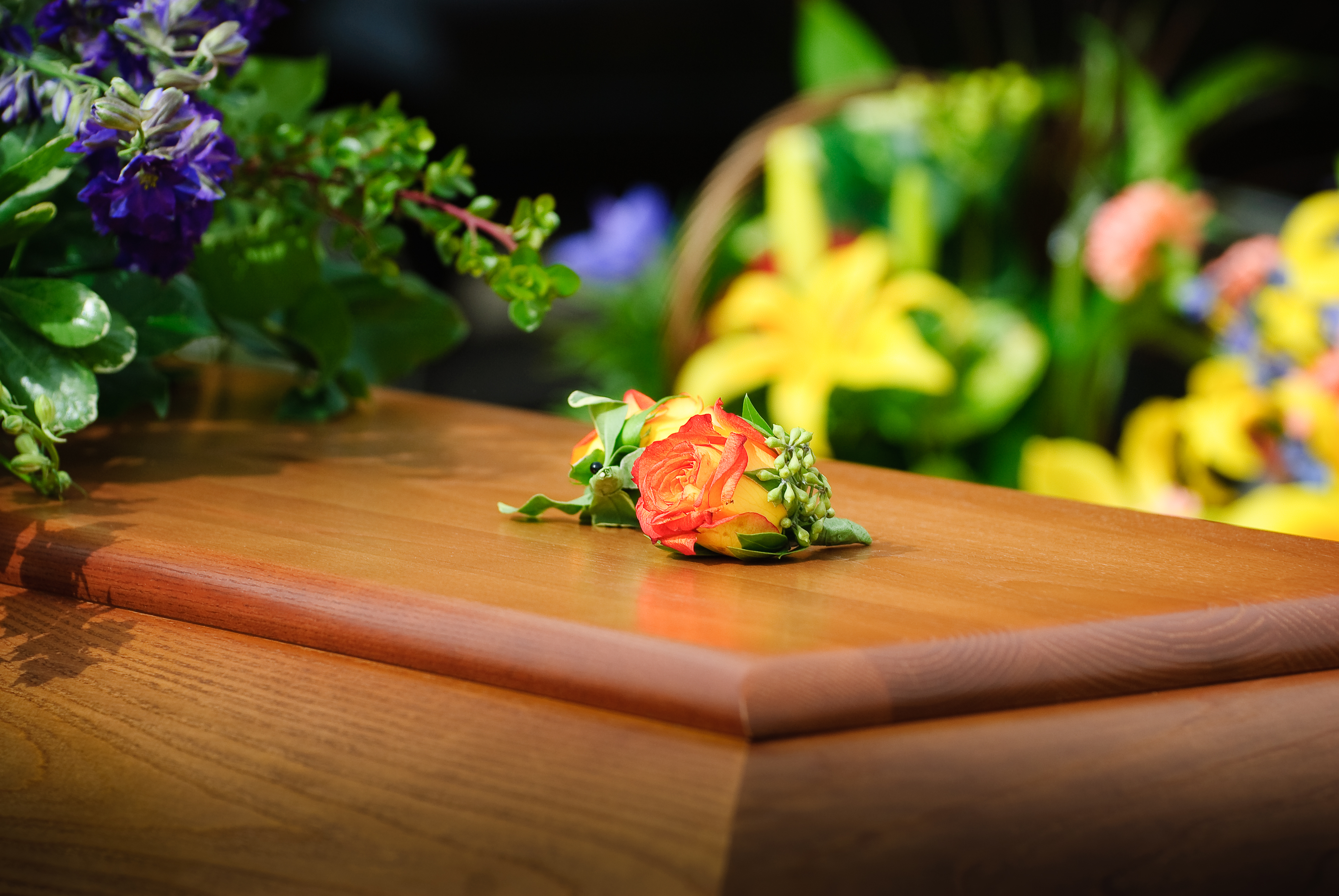 A rose resting on a wooden casket, more flowers visible in the background
