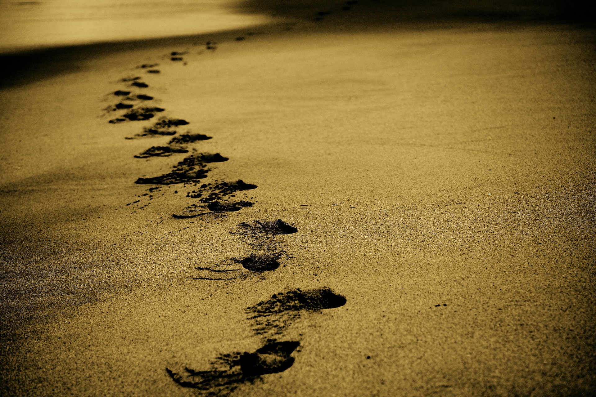 A line of footprints in sand 