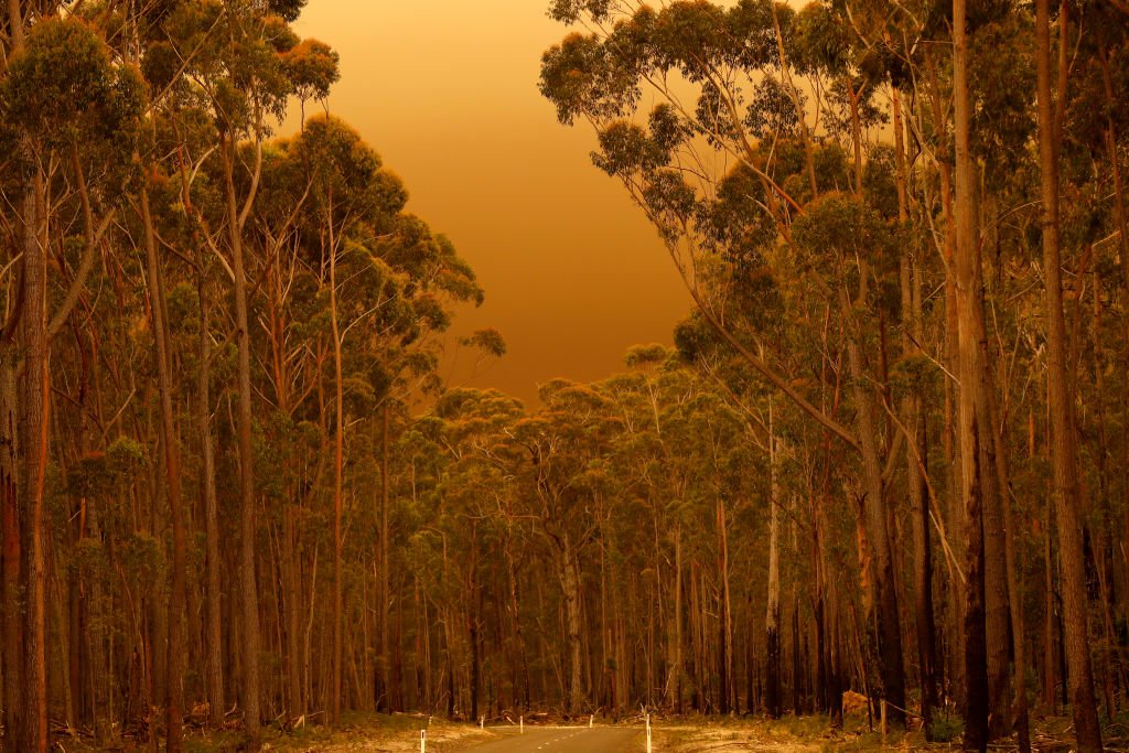 Thick smoke from bushfires fills the air in eastern Gippsland on January 02, 2020, Australia.