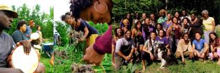A collection of images from Soul Fire Farm program participants and leaders depicting drumming, harvesting, and a large group photo