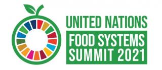 Logo of 2021 United Nations Food Systems Summit, a green apple icon outlining the rainbow ring representing the Sustainable Development Goals
