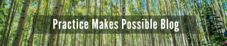 Aspen tree forest w/ sign reading ''practice makes possible blog' 