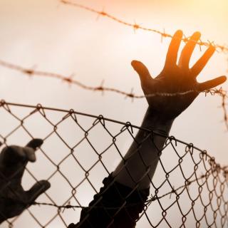 Hands reach up to grasp the top of a barbed wire fence, silhouetted by the sun in an overcast sky.