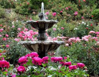 A two-tiered fountain at the International Rose Test Garden in Portland, OR. Endless bushes of light and dark pink roses surround the fountain.
