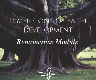 Dimensions of Faith Development Renaissance Module