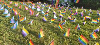cristy cardinal's lawn dotted with dozens of small pride flags
