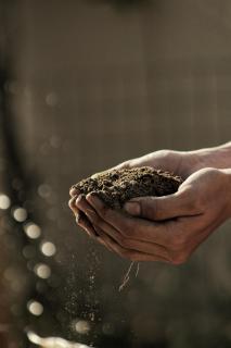 A close up of a person with dark skin holding soil in their cupped hands