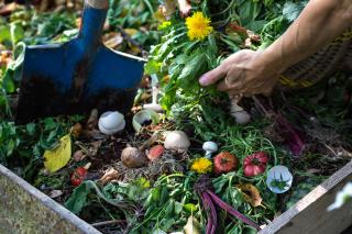 A person's hands scoop green material into a full compost bin, filled with flowers, eggshells, and colorful vegetable matter.