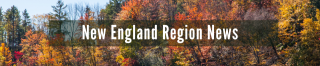 New England Region News is written out superimposed on an image of trees in autumn.