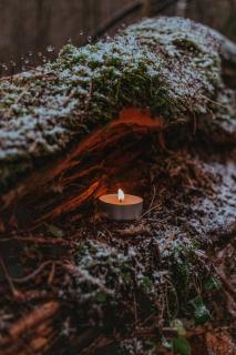A tea light glows in a hollow in a fallen log, surrounded by moss that has been dusted lightly with snow.
