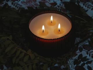A lighted candle with three wicks on a dimly-lit table with greenery.