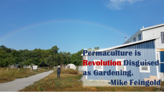 Permaculture Revolution Gardening