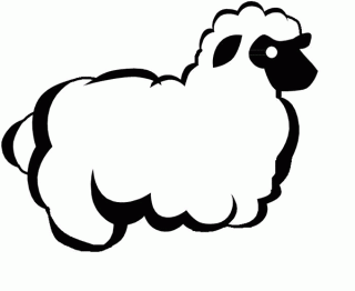 LEADER RESOURCE 3 Template for Sheep
