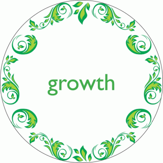 LEADER RESOURCE 1 Growth Circle