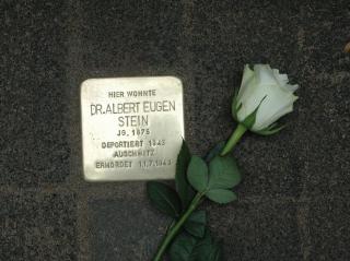 A white rose lays on the street next to a commemorative plaque, or Stolperstein, in Weisbaden Germany that honors a victim of the Holocaust.