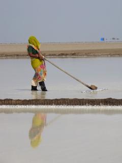 A salt worker raking brine