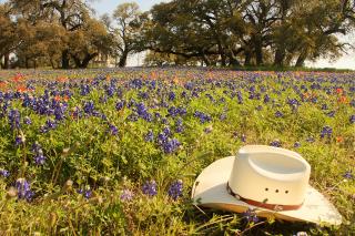 A cream-colored cowboy hat rests on a Texas meadow filled with bluebonnets