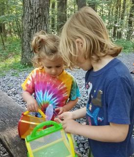 Two children in the woods playing with bug boxes