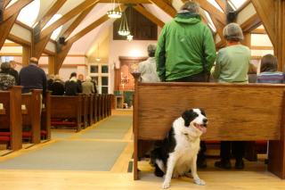 A happy border collie sits behind the last wooden pew in a sanctary full of people