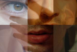A collage of senses: eye, lips, ear, hand.
