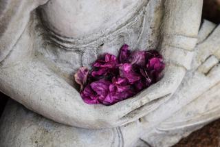 A pile of bright fuschia flower blossoms rest in the open hands and lap of a stone Buddha or Quan Yin statue