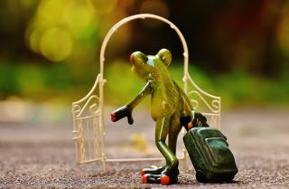 Frog with a rollerbag going through an archway