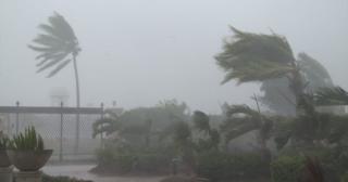 Hurricane Matthew rips through palm trees in Haiti