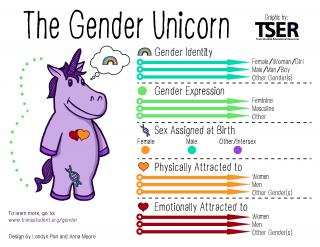 The Gender Unicorn - a purple cartoon unicorn with symbols designating gender identity, gender expression, sex assigned at birth, physically attracted to, and emotionally attracted to; by Trans Student Educational Resources.