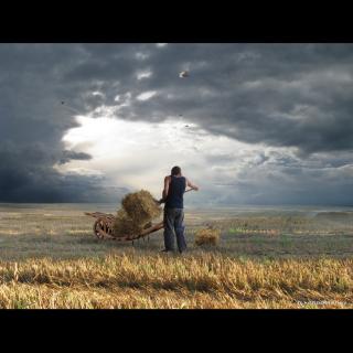 A farmer loads straw onto a wagon, in a golden field with a cloudy sky behind him