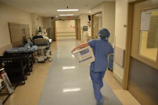 In a hospital corridor, a nurse in scrubs carries a cooler designated to hold donated organs.
