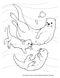 line drawing of three very playful otters in the water