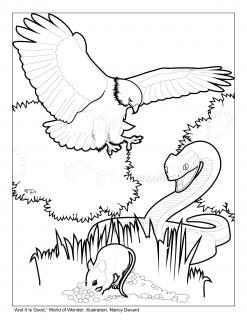 Line drawing of a bird, a snake, and a mouse in a marsh habitat