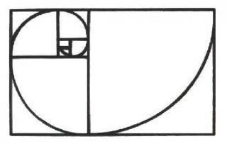 Fibonacci Spiral Pattern.