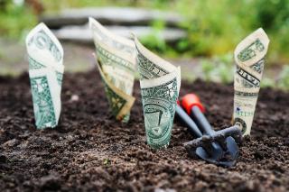 Rolled Dollar bills planted in soil with a rake on the ground