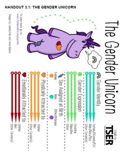 graphic of the gender unicorn that explains gender, sex, and attraction