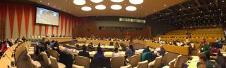 ECOSOC Chamber at the UN where 2018 Seminar Theme Panel was held