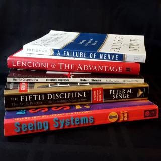 A pile of books on Systems Thinking