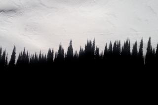 A dark treeline against a light grey sky